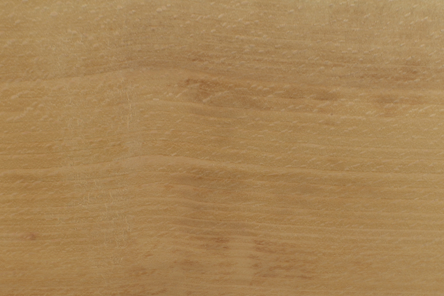 Quartersawn American beech - closeup of grain